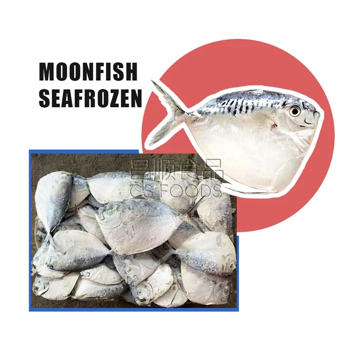 Trawling IQF Moonfish